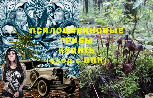 метадон Аркадак